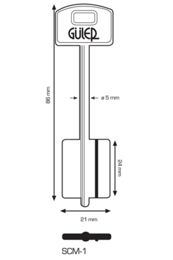 SCM1