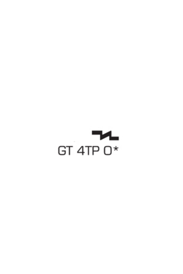 GT4TPO