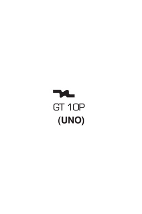 GT10P