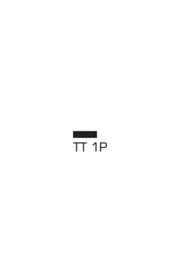 TT1P