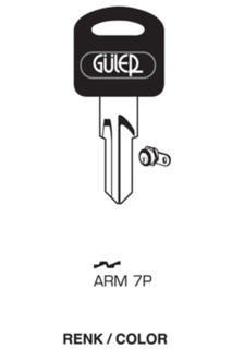 ARM7P