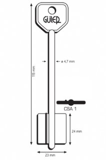 CSA1